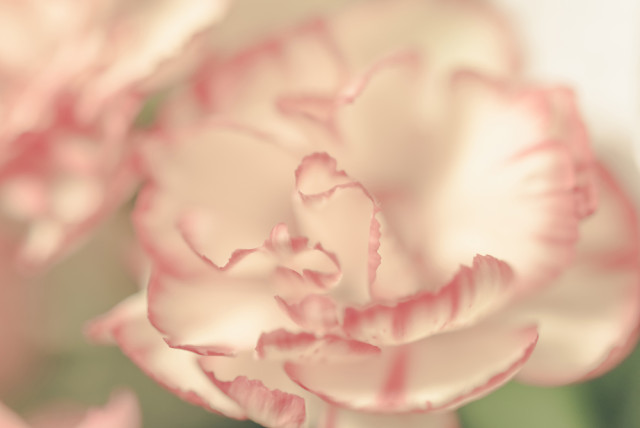 Η συμβουλή για τα αισθηματικά σου το σαββατοκύριακο, 18-19/3/2017.