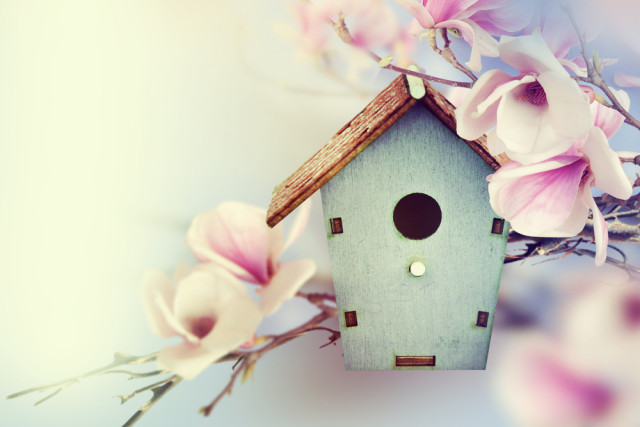 Η συμβουλή για τα αισθηματικά σου την Παρασκευή, 5 Μαΐου 2017.