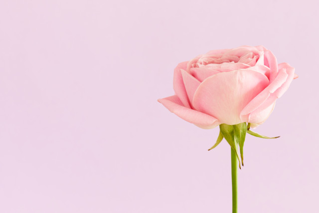 Η συμβουλή για τα αισθηματικά σου την Πέμπτη, 6 Απριλίου 2017.