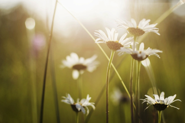 Η ερωτική συμβουλή της Δευτέρας, 27 Ιουνίου 2016.
