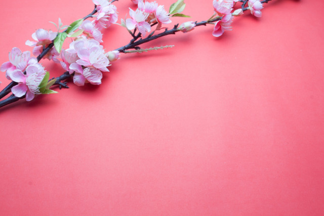 Η συμβουλή για τα αισθηματικά σου την Τρίτη, 25 Απριλίου 2017.