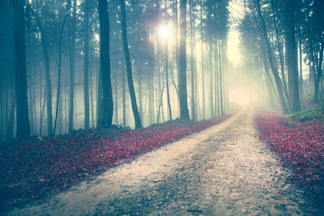 Δίας στον Ζυγό στις 9 Σεπτεμβρίου 2016, από την Μαρία Σύλλα.