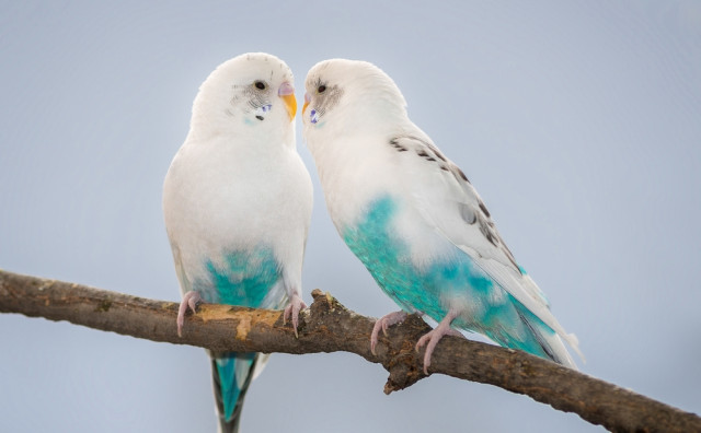 Η ερωτική συμβουλή της Τετάρτης, 22 Ιουνίου 2016.