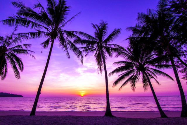 Η ερωτική συμβουλή της Πέμπτης, 23 Ιουνίου 2016.