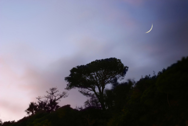 Νέα Σελήνη στον Τοξότη στις 29 Νοεμβρίου 2016, από την Μαρία Σύλλα.